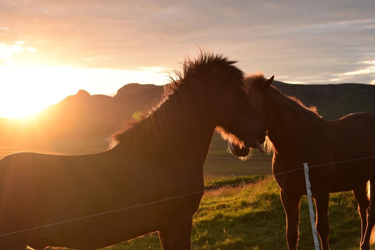 Black Beach Suites Vík Eksteriør billede